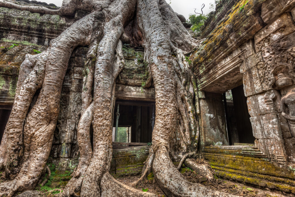 ancient-stone-door-and-tree-roots-ta-prohm-temple
